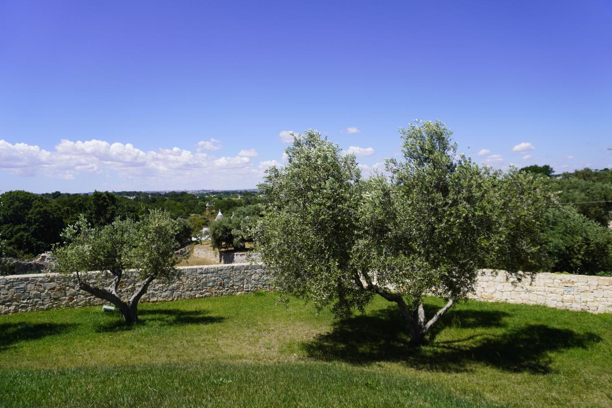 Trullo Amico Villa Cisternino Exterior photo